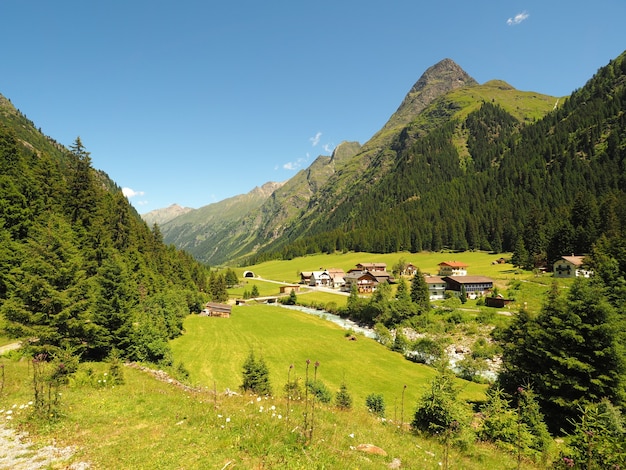 Campo lungo di una valle di montagna