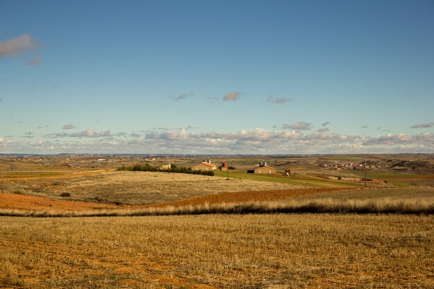 Campo marrone sotto il cielo azzurro durante il giorno