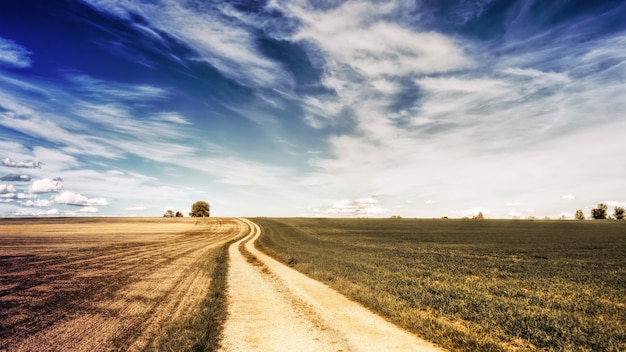 Campo marrone sotto il cielo blu e nuvole bianche durante il giorno