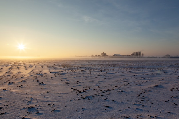 Campo nevoso vuoto con nebbia sotto un cielo blu