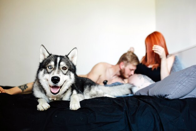 Cane adorabile sul letto con la coppia incinta