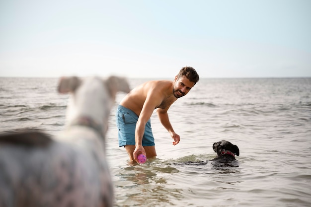 Cane che si diverte in spiaggia