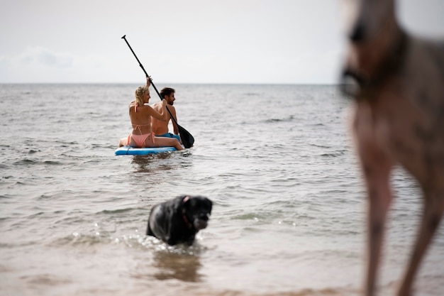 Cane che si diverte in spiaggia