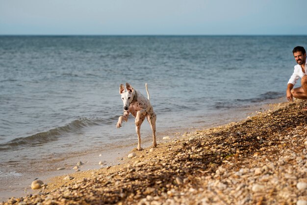 Cane che si diverte in spiaggia