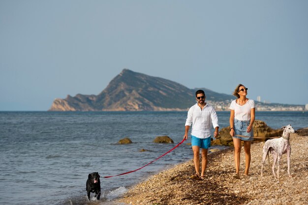 Cane che si diverte in spiaggia