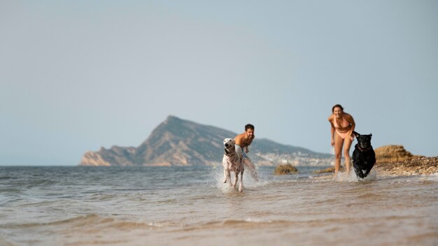 Cane che si diverte in spiaggia