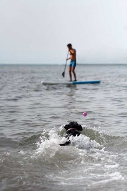 Cane che si diverte in spiaggia