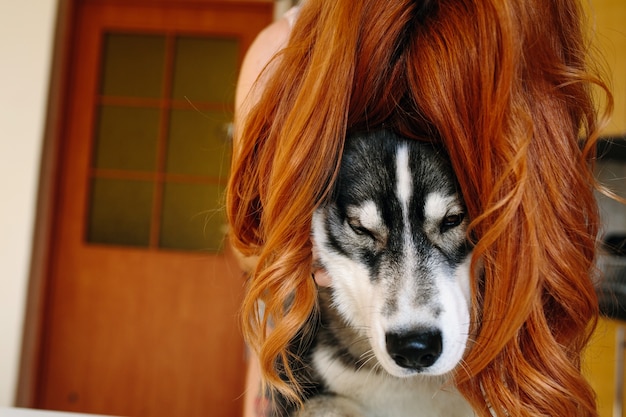 Cane con una parrucca dai capelli rossi