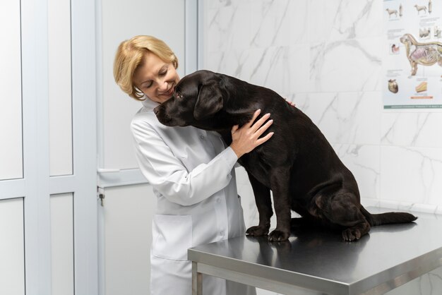 Cane da accarezzare medico di tiro medio