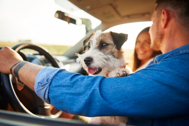 Cane felice in macchina durante il viaggio su strada