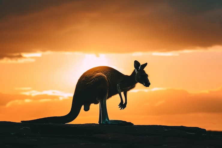 Foto gratuito canguri al tramonto in stile onirico