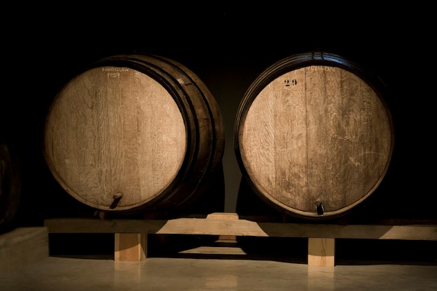 Cantina con vista frontale di vecchie botti di vino