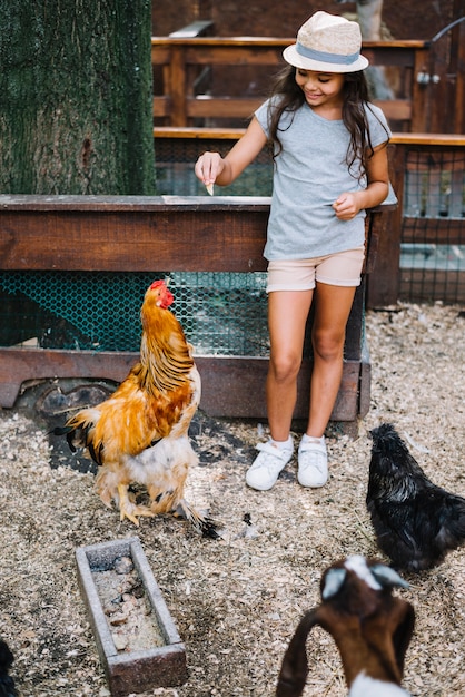 Cappello d&#39;uso della ragazza che alimenta alimento alle galline nell&#39;azienda agricola