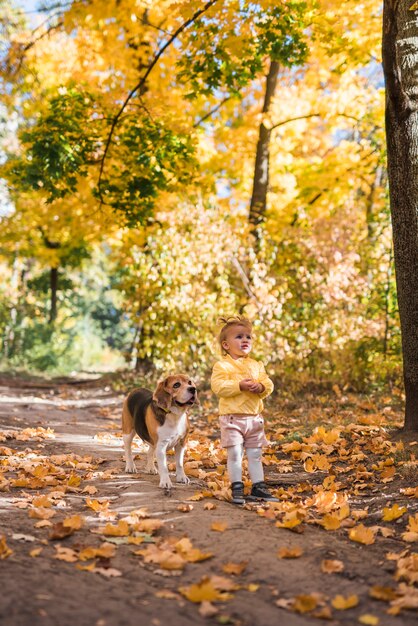 Carina ragazza innocente con il suo cane beagle in piedi alla foresta in autunno