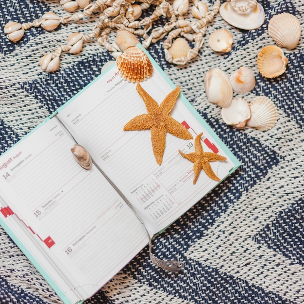 Carino calendario aperto con conchiglie e stelle marine
