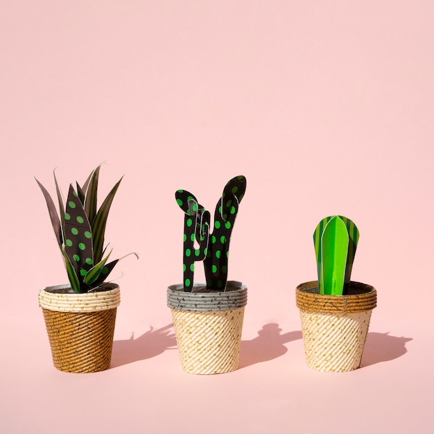 Carino carta tagliata stile di cactus artificiali