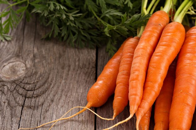 Carota fresca con foglie verdi