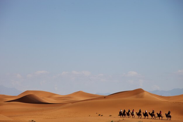 Carovana di cammelli in un deserto nello Xinjiang, Cina