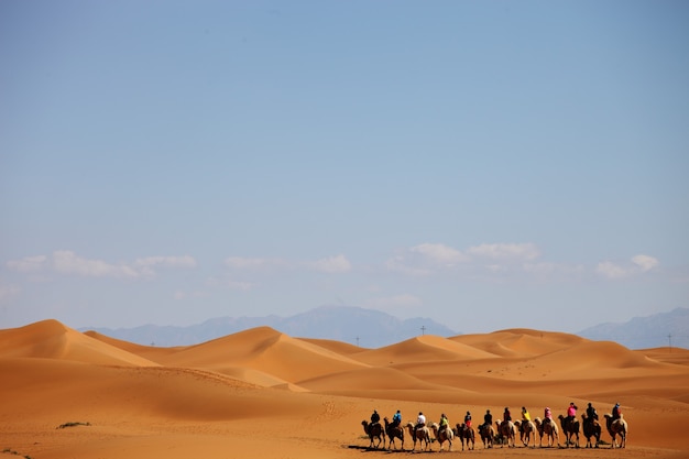 Carovana di cammelli in un deserto nello Xinjiang, Cina