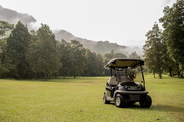 Carrello da golf parcheggiato. Bali. Indonesia