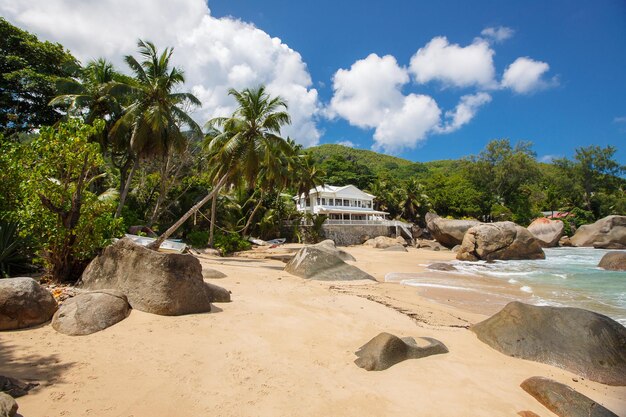 Carta da parati spiaggia delle Seychelles