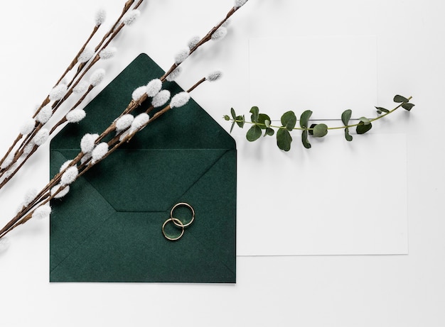 Carta di invito verde con rami di cotone