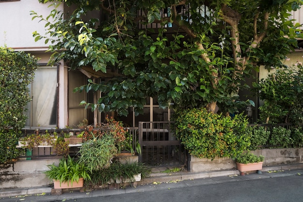 Casa abbandonata vicino a un albero alto