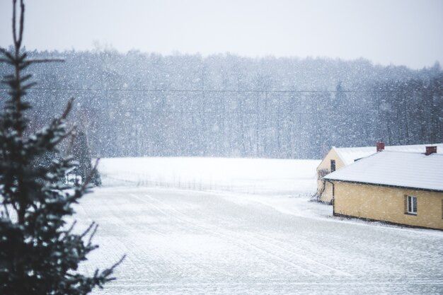 Casa e campo nevoso