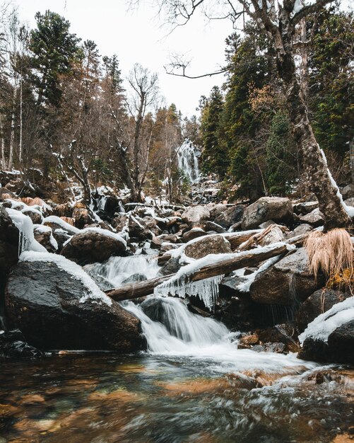 Cascata con alberi caduti, neve e stalattiti nella foresta