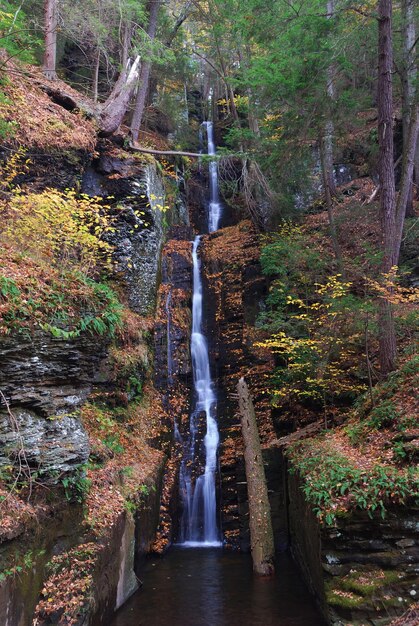 Cascata d&#39;autunno