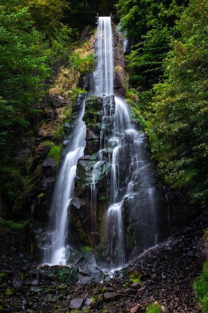 Cascata di Trusetaler che scorre attraverso la foresta in Germania