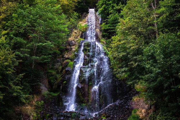 Cascata di Trusetaler che scorre attraverso la foresta in Germania