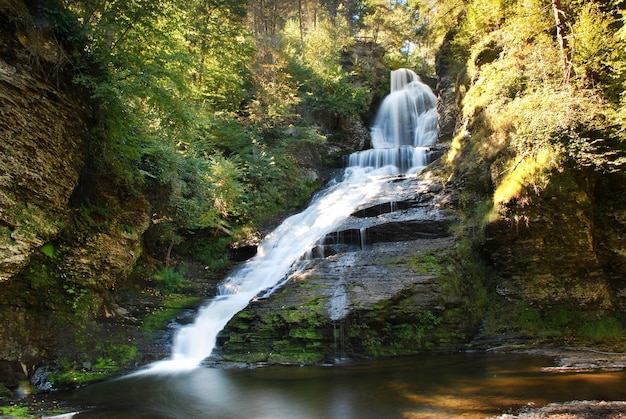 CASCATA nel bosco autunnale