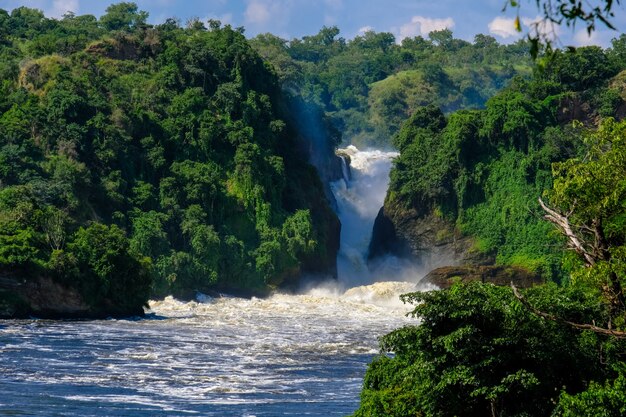 Cascata nel mezzo di scogliere con alberi e piante in una giornata di sole