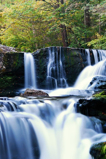 Cascata nella foresta