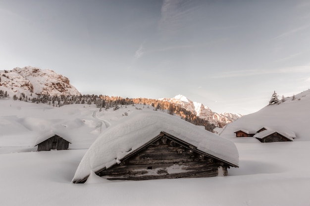 Case in legno marrone coperte di neve durante il giorno