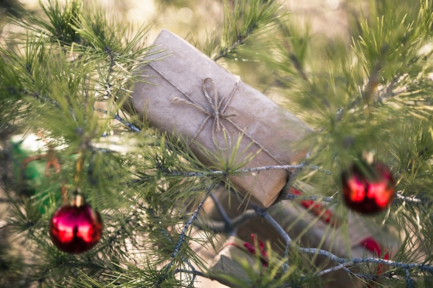 Casella attuale nell&#39;albero