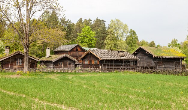 Casette in montagna della Norvegia.