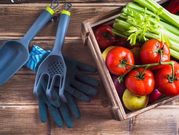 Cassa di verdure ed attrezzature di giardinaggio sulla tavola di legno