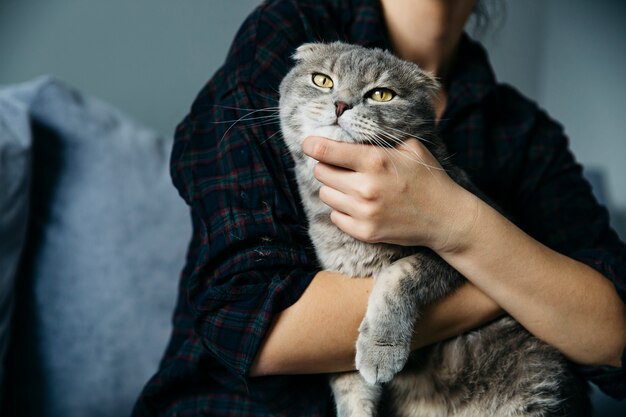 Cat godendo la carezza di hostess