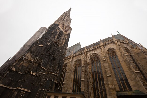 Cattedrale di Santo Stefano a Vienna