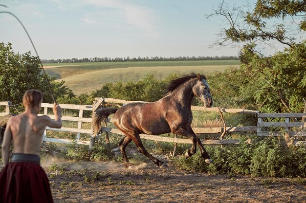 Cavallo che corre nel paddock sulla sabbia in estate. Animali nel ranch.