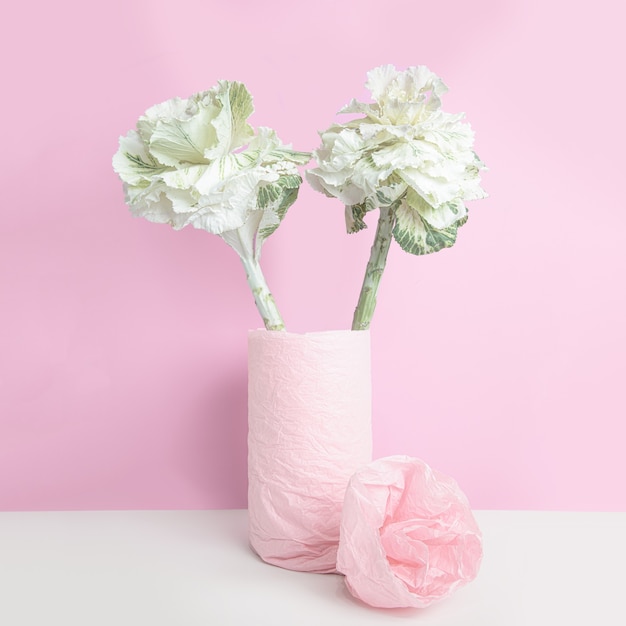 Cavolo ornamentale in un vaso, avvolto con carta rosa sulla parete rosa