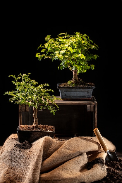 Celebrazione del giorno di Arbor con alberi in vaso sul tavolo