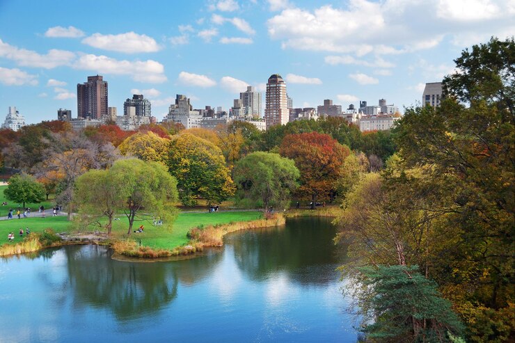 Foto gratuito central park di new york city