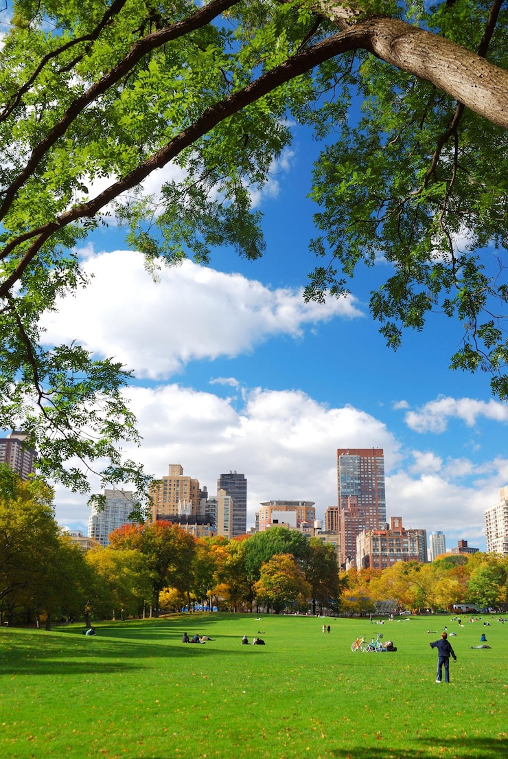 Foto gratuito central park di new york city