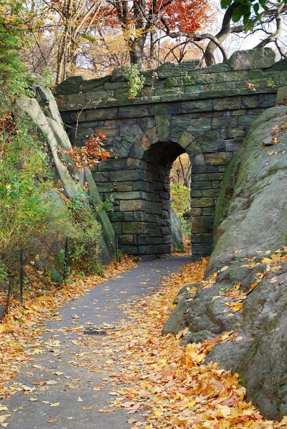 Central Park di New York City