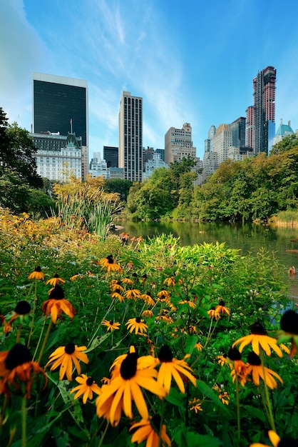 Central Park Fiore di primavera con skyline nel centro di Manhattan New York City