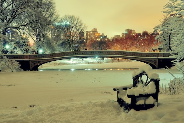 Central Park inverno con lago ghiacciato e sedia di notte nel centro di Manhattan New York City