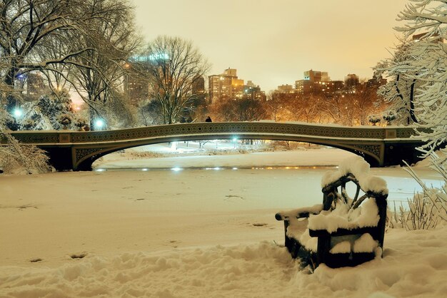 Central Park inverno con lago ghiacciato e sedia di notte nel centro di Manhattan New York City